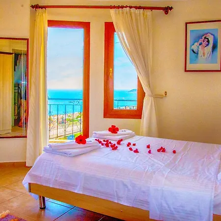 Buy Vista 1 Kalkan